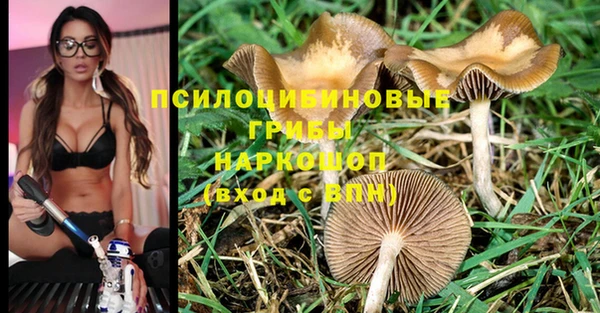 молекула духа Фёдоровский