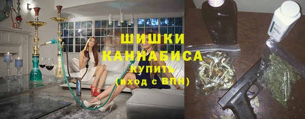 молекула духа Фёдоровский