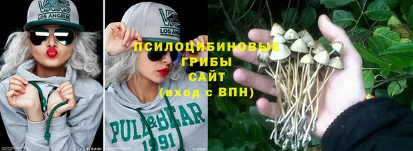 тгк Горняк