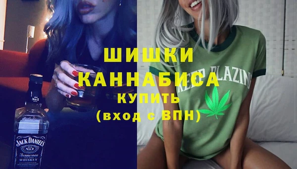 гидра Горно-Алтайск