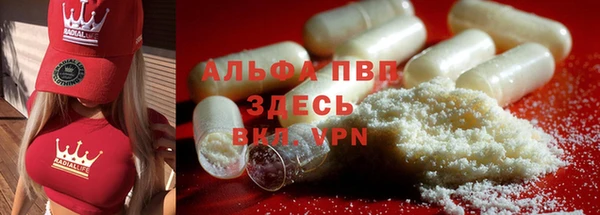 гидра Горно-Алтайск